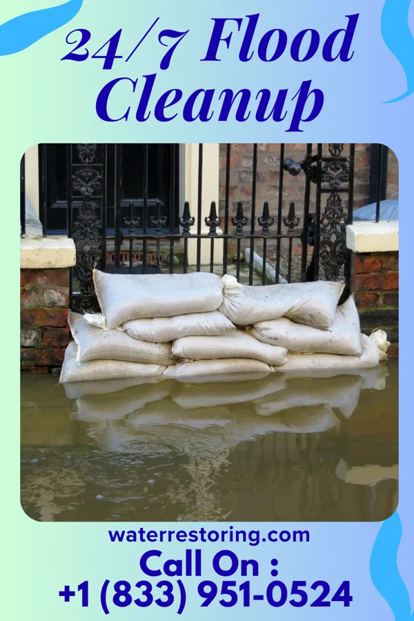 24/7 Flood Cleanup in Bonney, TX