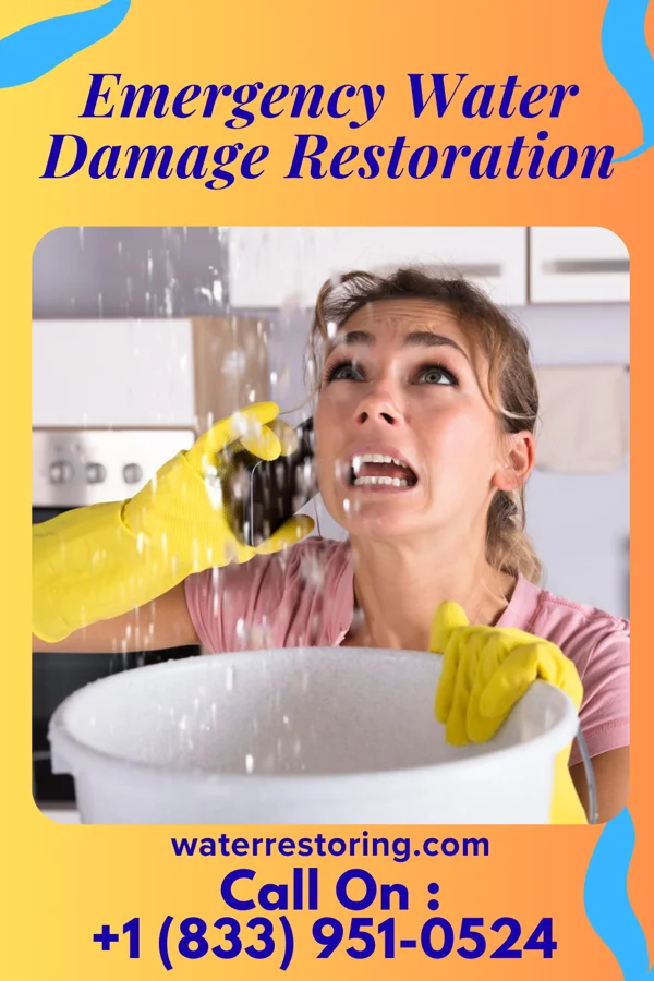 Emergency Water Damage Restoration in Bonney, TX