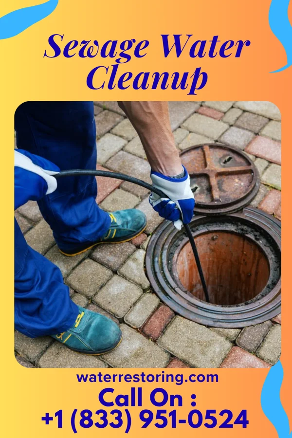 Sewage Water Cleanup in Bonney, TX